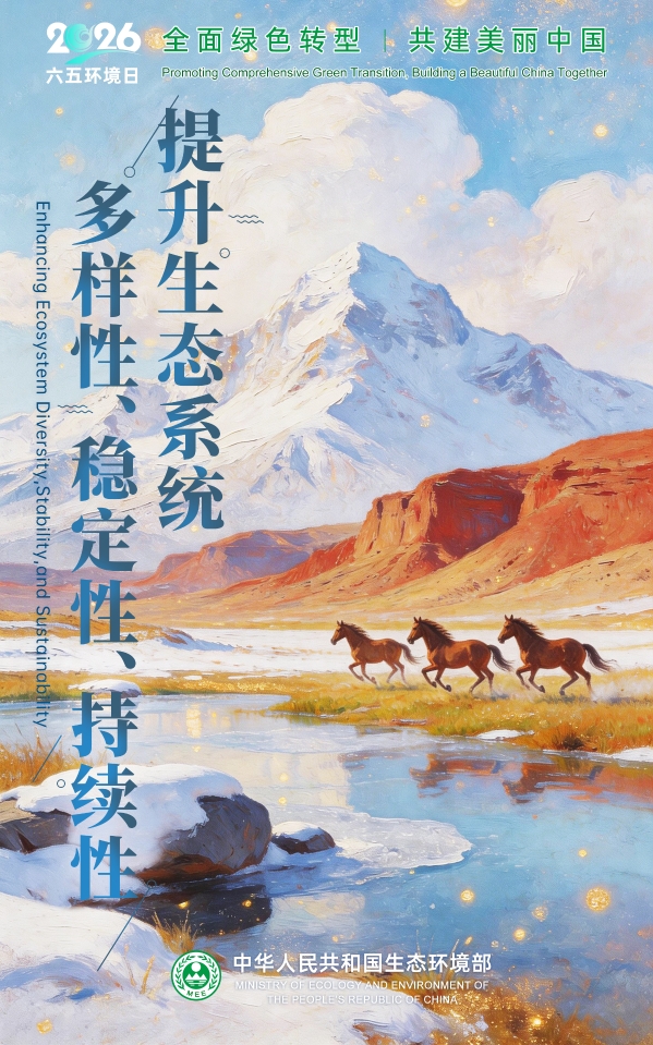 65海报3